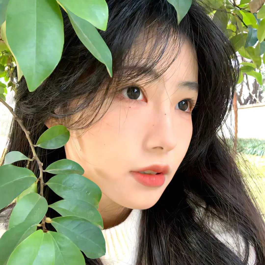 少林传人