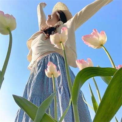 屋顶上的绿宝石